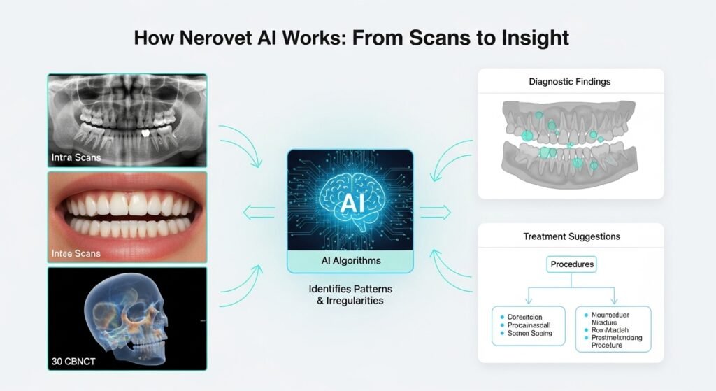 How Nerovet AI Works: From Scans to Insight