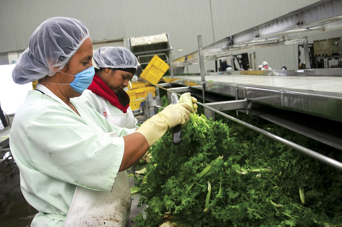 food industry mexico